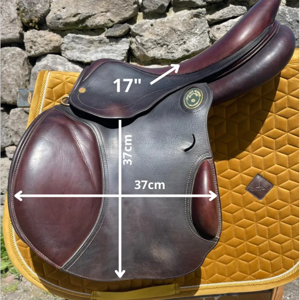 Selle Pro'Point Jean-Luc Maurel
