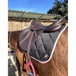 Selle équipe