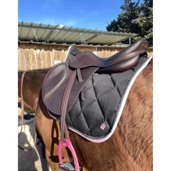 Selle équipe
