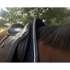 Selle Équipe