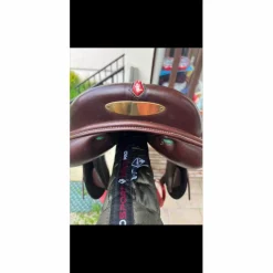 Selle équipe carbone EK GO