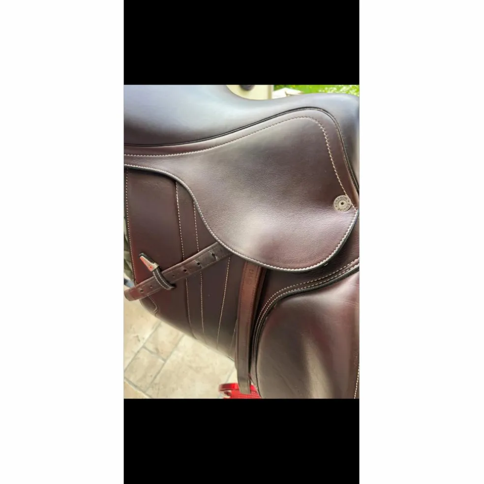 Selle équipe carbone EK GO