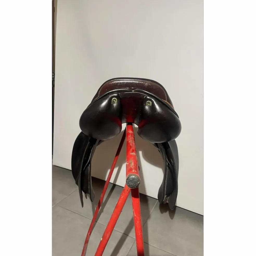 Selle Équipe Expression