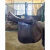 Selle équipe expression 17
