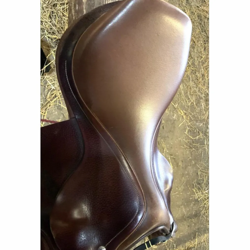 Selle équipe expression 17
