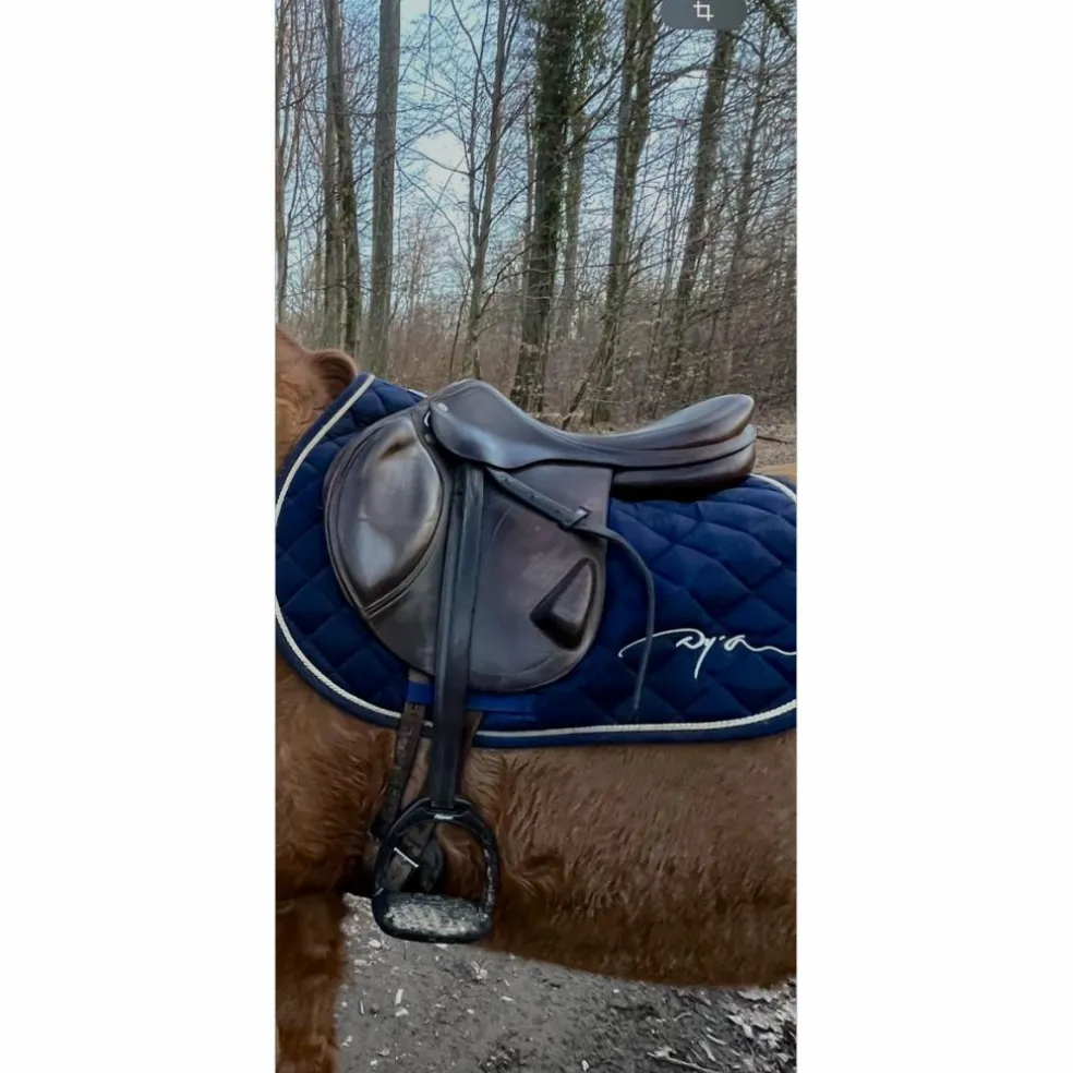 Selle Équipe Expression monoquartier – 17,5” – Très bon état