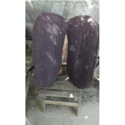 Selle Randol's