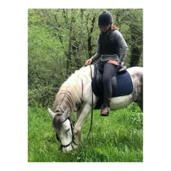 Selle randonnée cheval