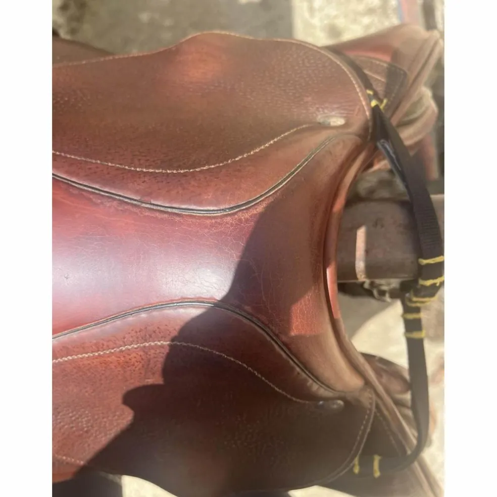 selle se02 CWD