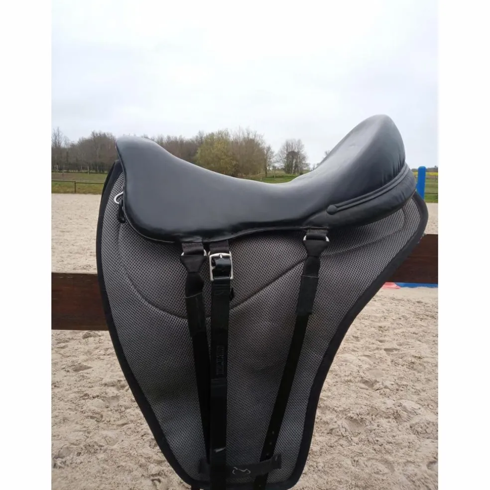 Selle SETZI BALENTE B 2022