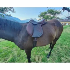 Selle signature Antarès