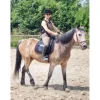 Selle Sommer voyage