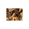 selle Sommer XCross