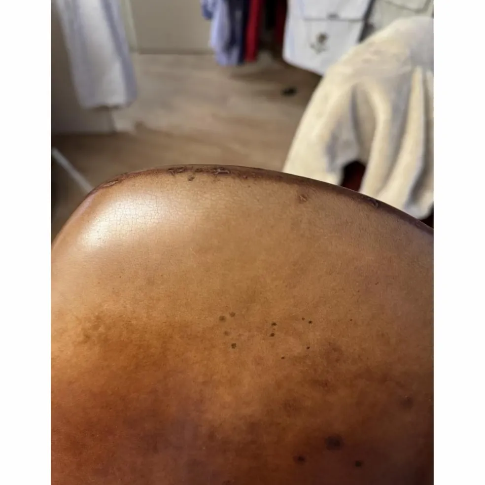 Selle Spooner Antares tendance obstacle T18