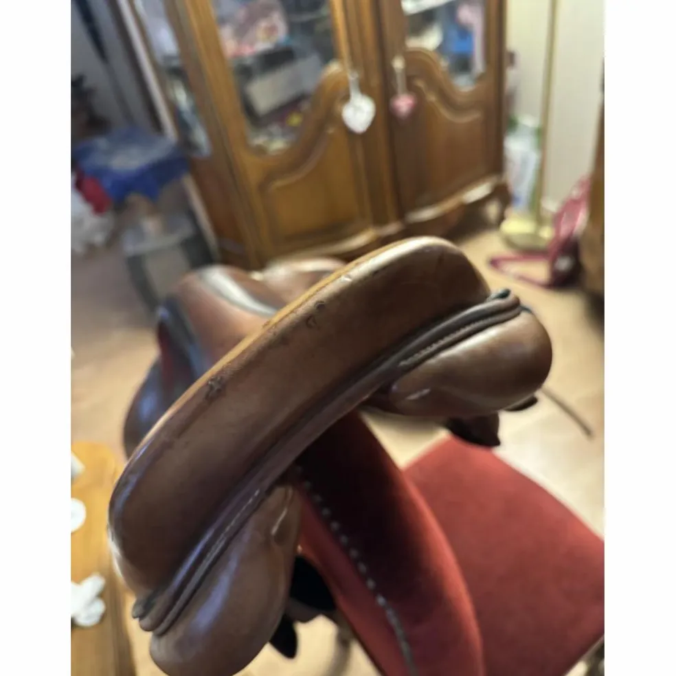 Selle Spooner Antares tendance obstacle T18