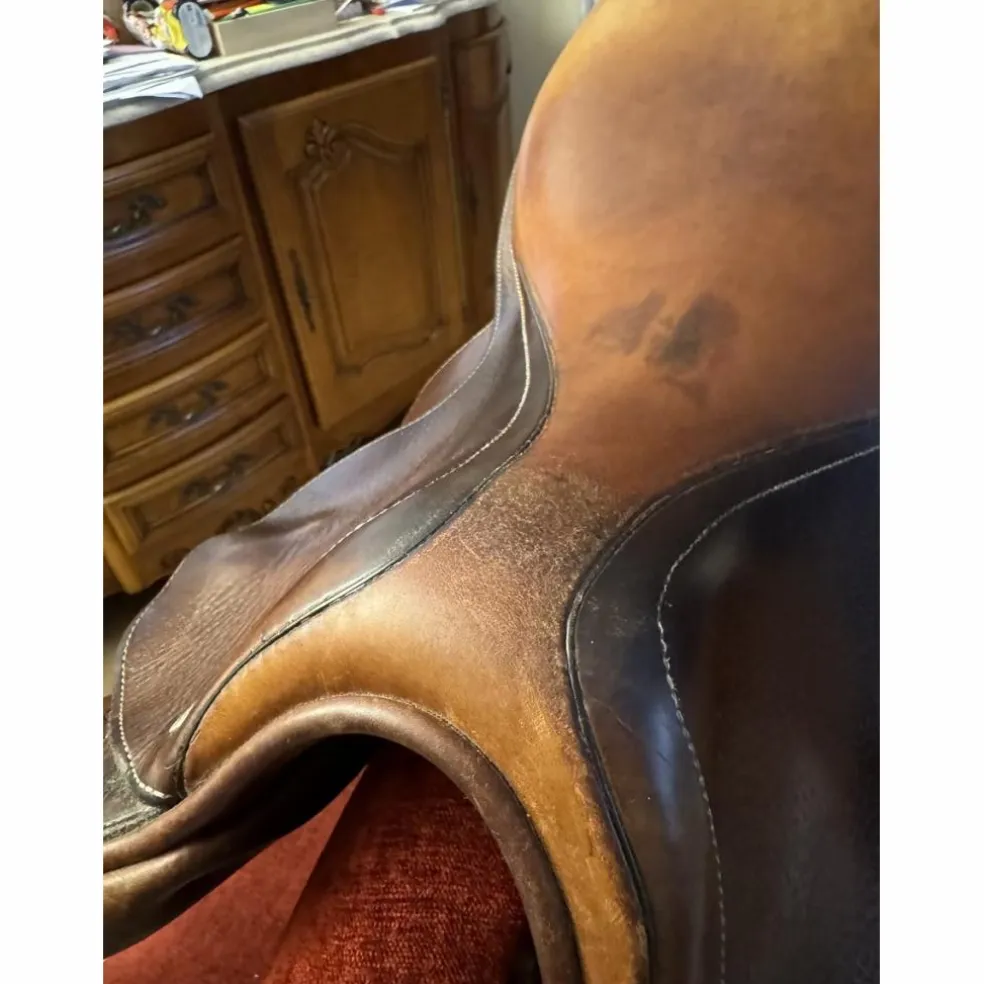 Selle Spooner Antares tendance obstacle T18