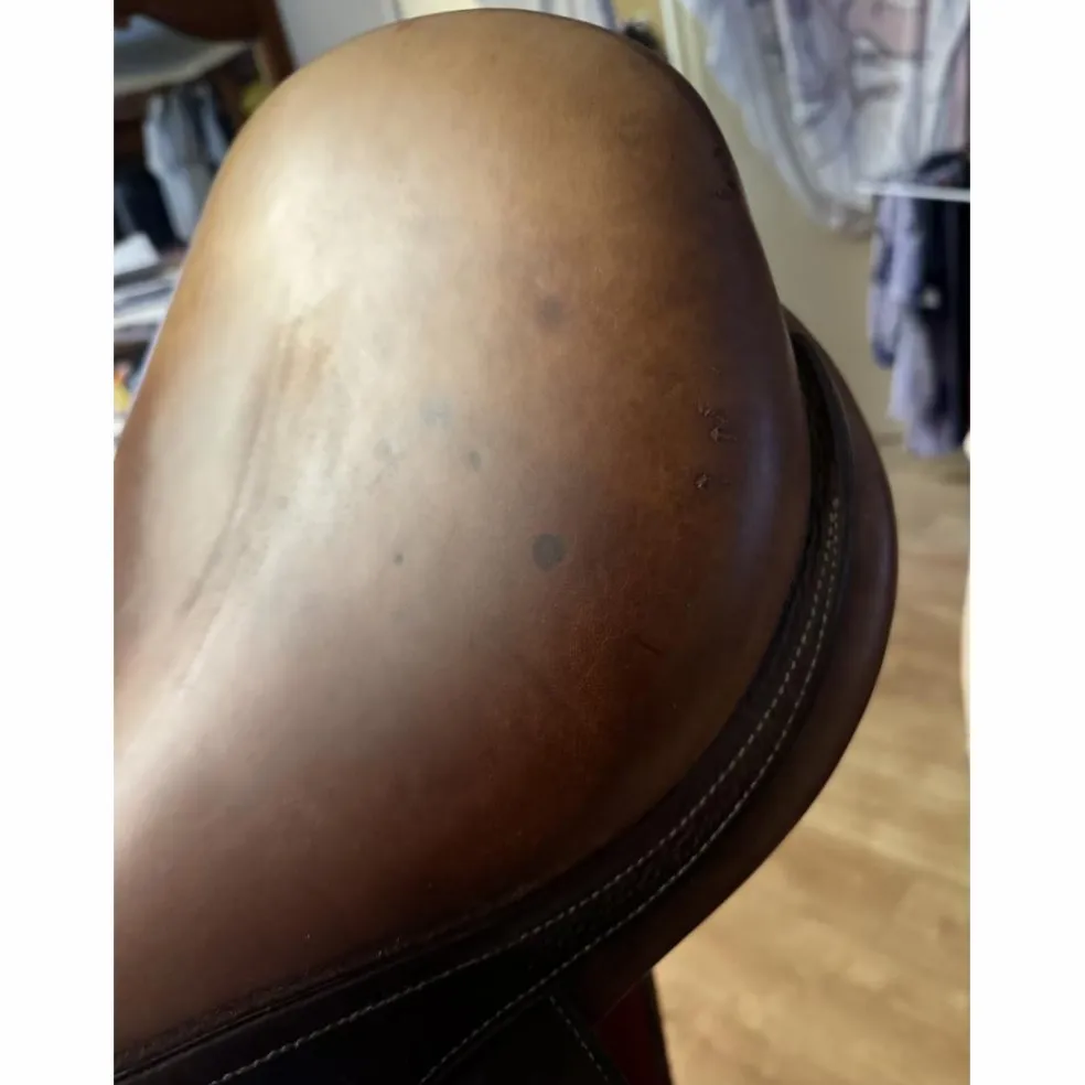 Selle Spooner Antares tendance obstacle T18