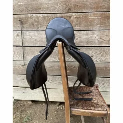 Selle stubben dressage