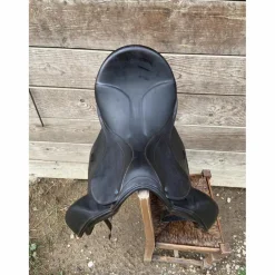 Selle stubben dressage