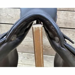 Selle stubben dressage