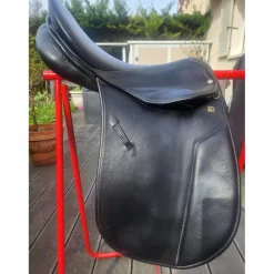 Selle stubben dressage