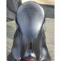Selle stubben dressage
