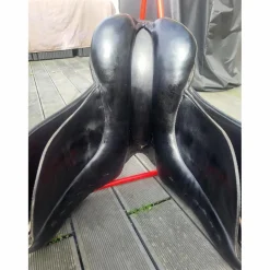 Selle stubben dressage