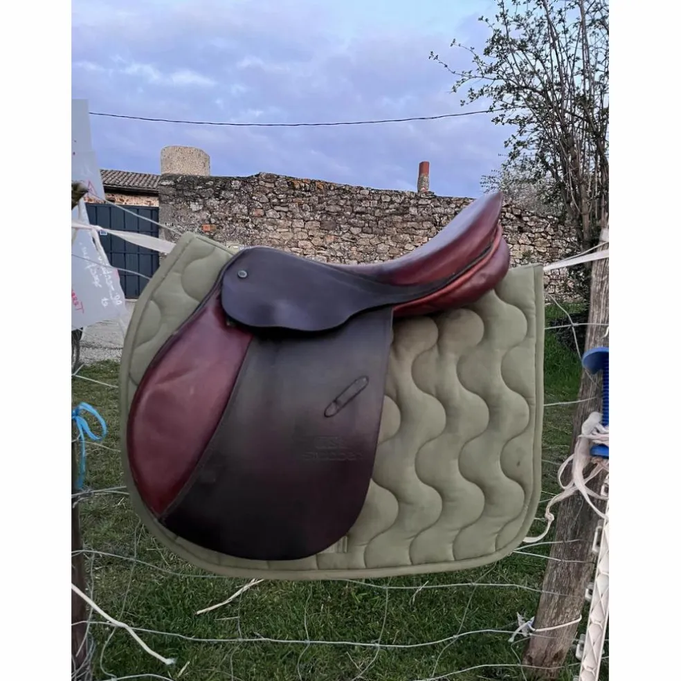 selle stubben edelweiss