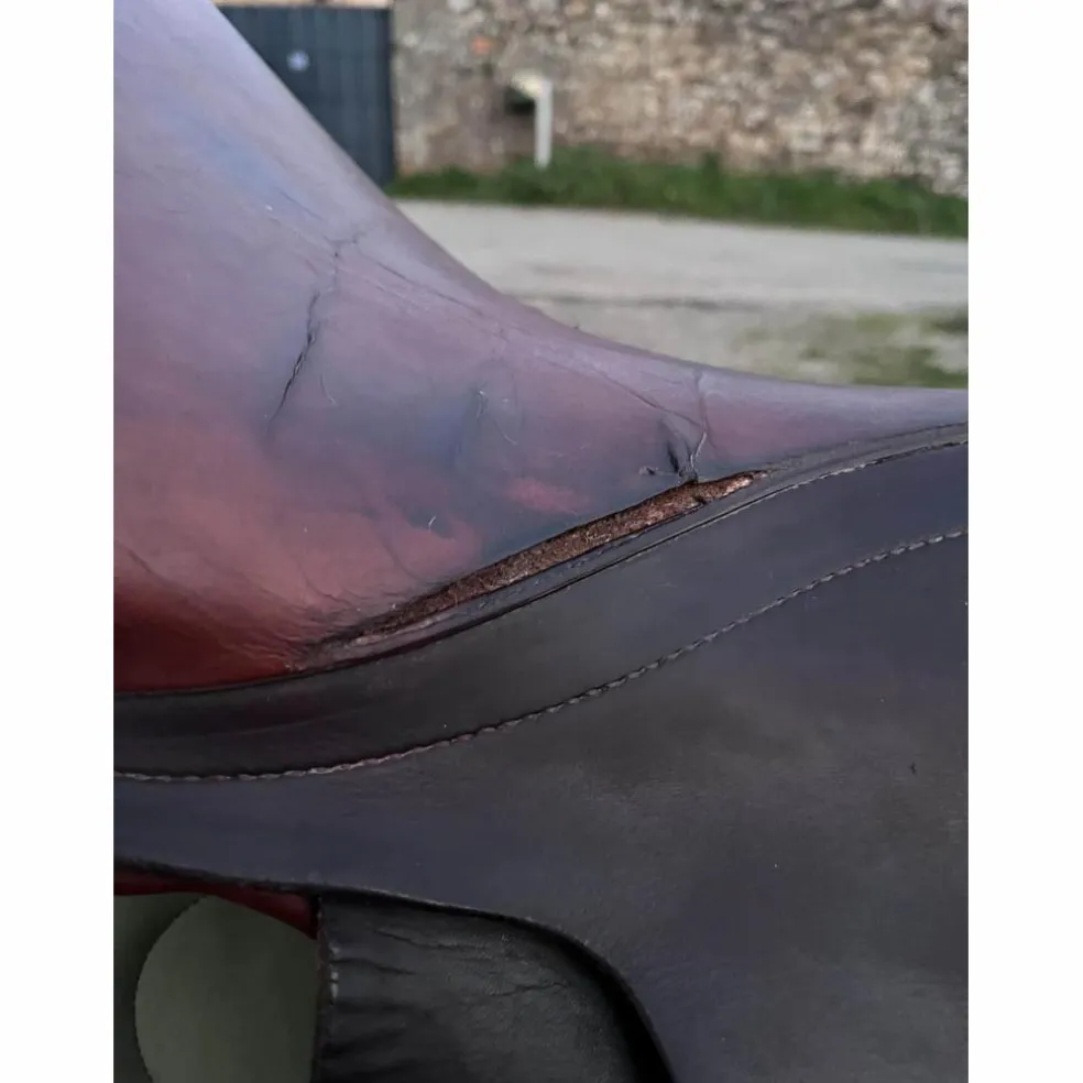 selle stubben edelweiss
