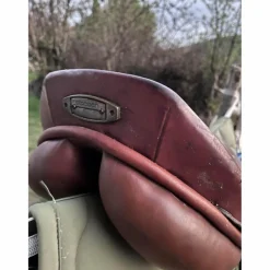selle stubben edelweiss