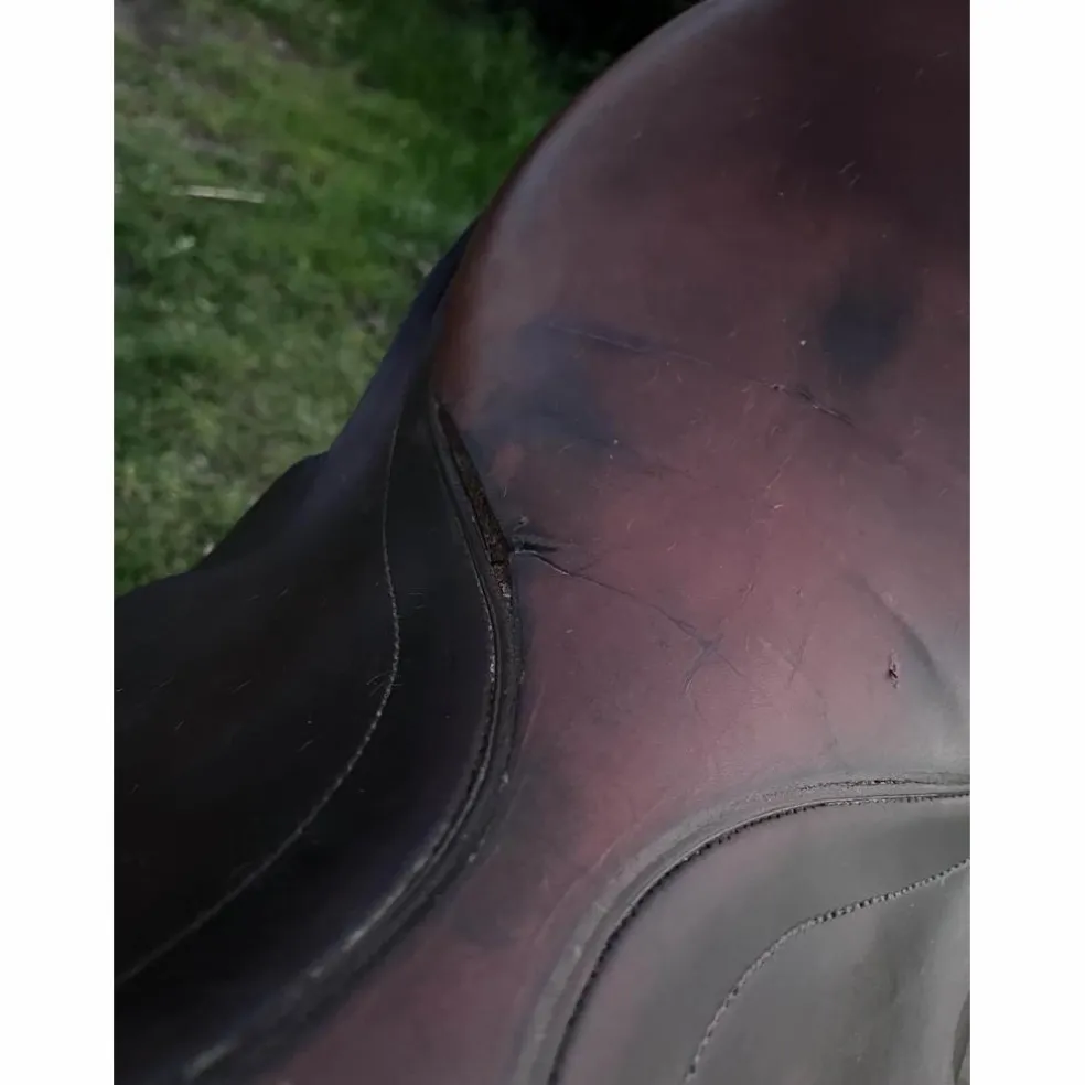selle stubben edelweiss