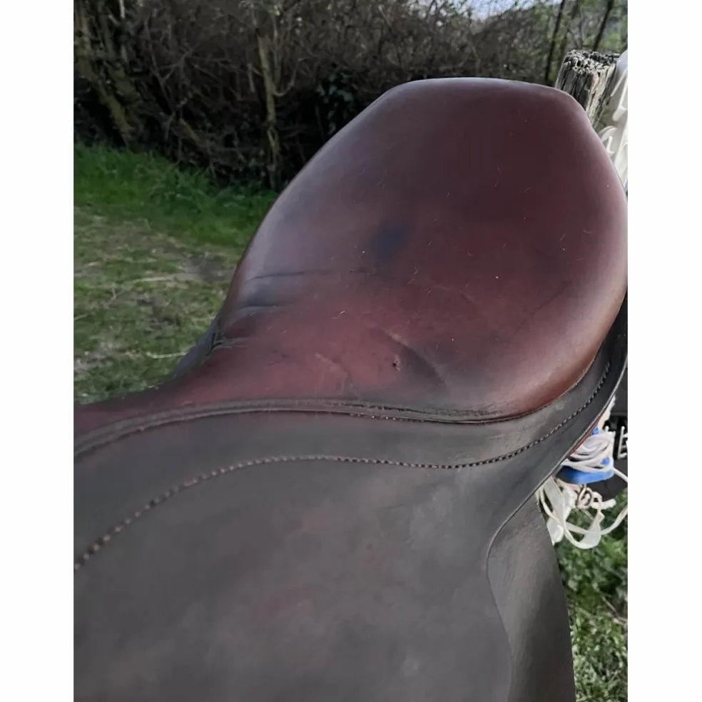 selle stubben edelweiss