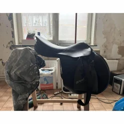 selle stubben s phœnix