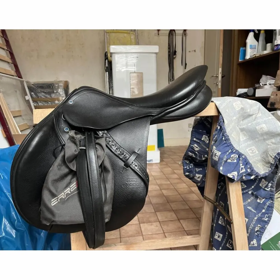 selle stubben s phœnix