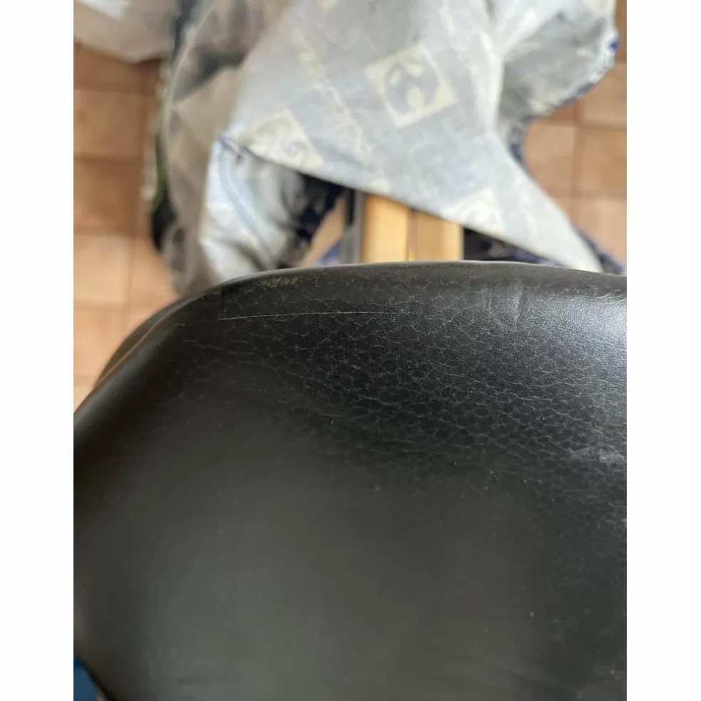 selle stubben s phœnix