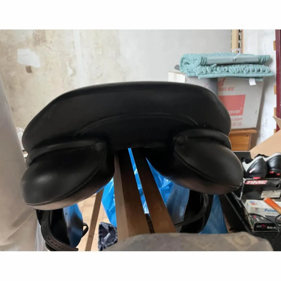 selle stubben s phœnix