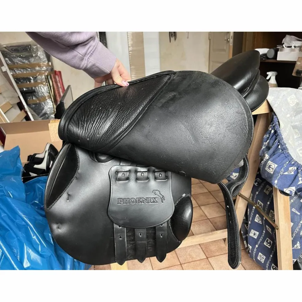 selle stubben s phœnix