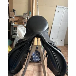selle stubben s phœnix