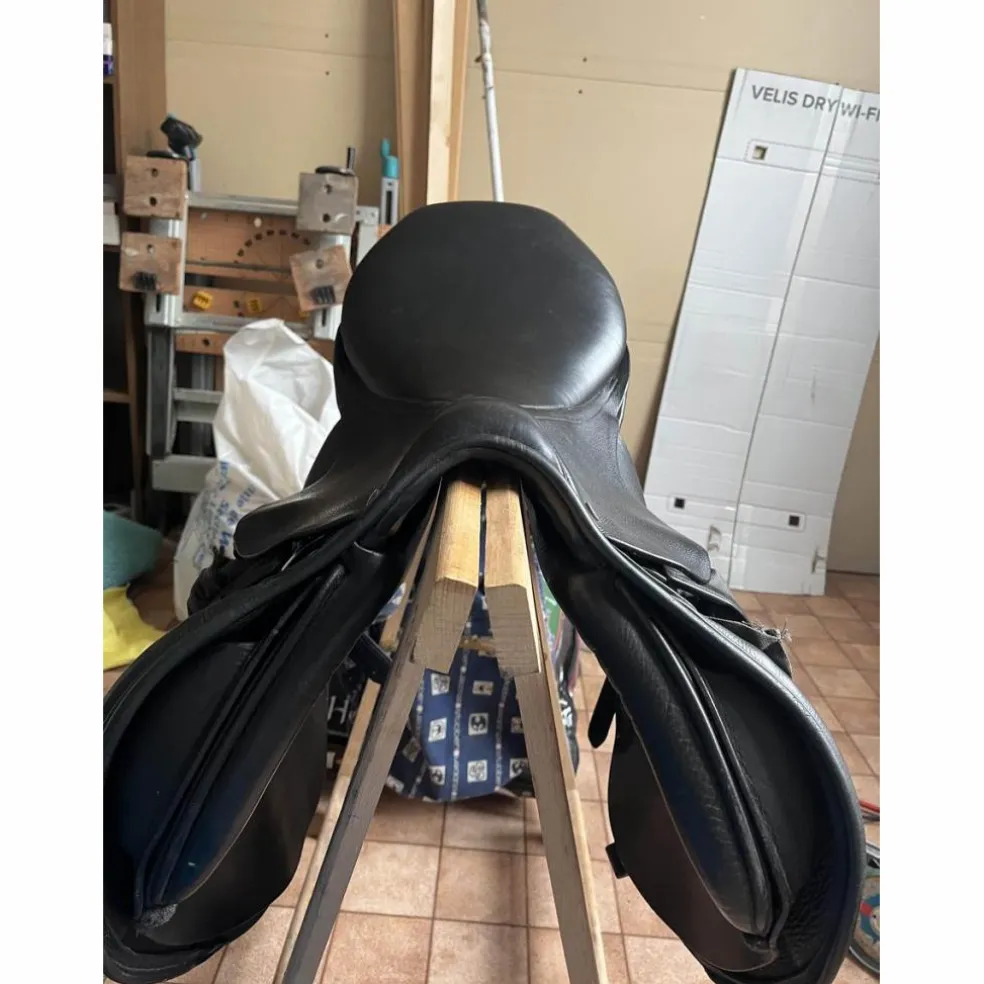 selle stubben s phœnix