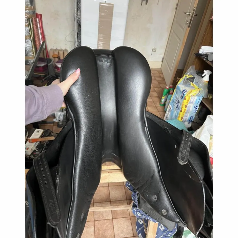 selle stubben s phœnix