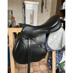 selle stubben s phœnix