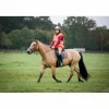 selle tekna dressage