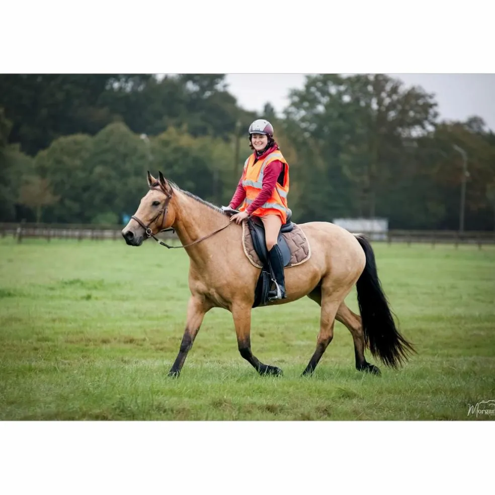 selle tekna dressage