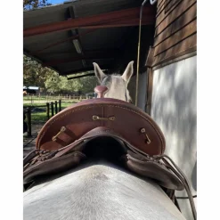 selle TH taille 17,5 numérotée
