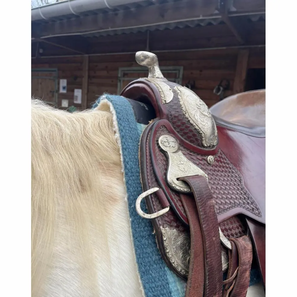 selle western