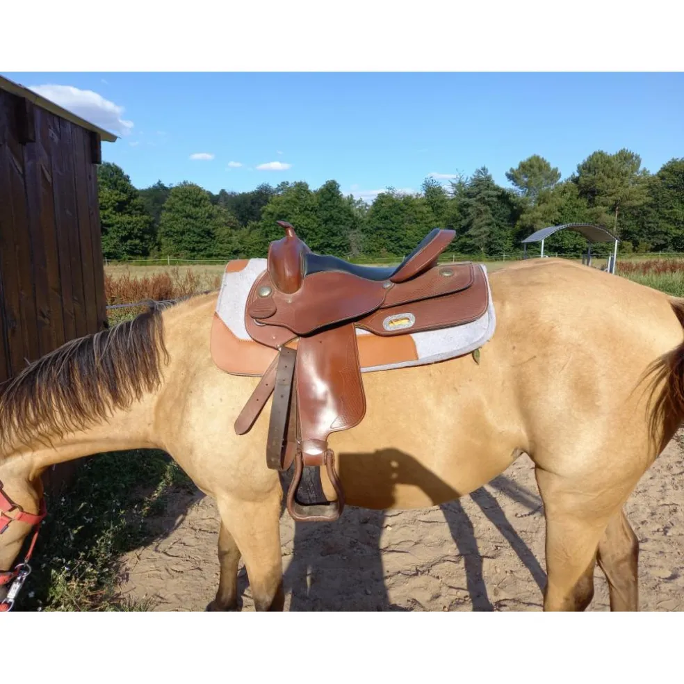 Selle western