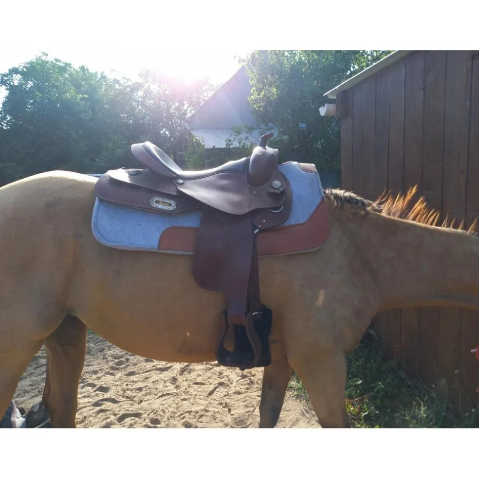 Selle western
