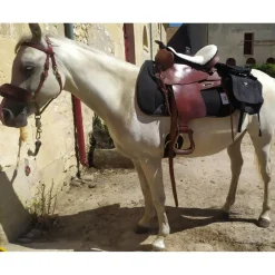 Selle Western