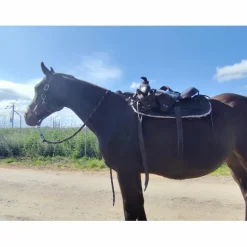 Selle western