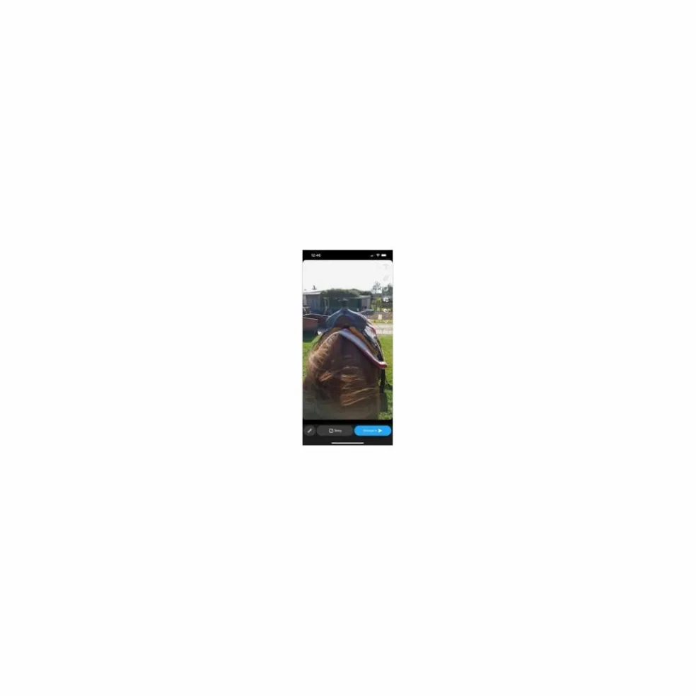 Selle western